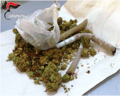 Una parte della marijuana sequestrata a Tortolì