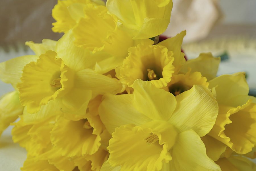 Sardegna: Pasqua all’insegna del bel tempo con sole e clima primaverile