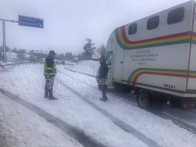 La Polizia Stradale sulla 389
