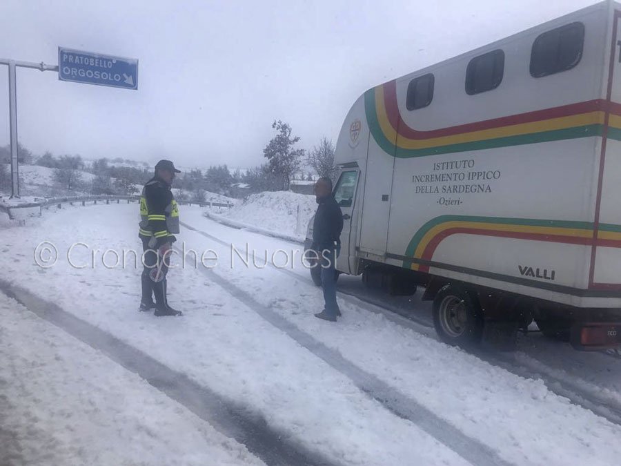 Nuorese: temperature in picchiata e strade gelate