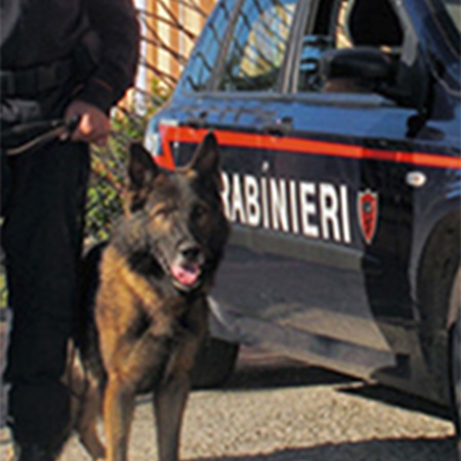 Droga a scuola. Rinvenuti dai Carabinieri diversi grammi di sostanza stupefacente