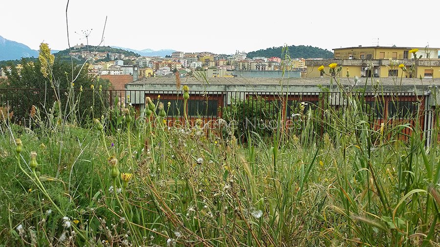 Nuoro. Pronti 41mila euro per “interventi di manutenzione urgenti nelle Scuole cittadine”