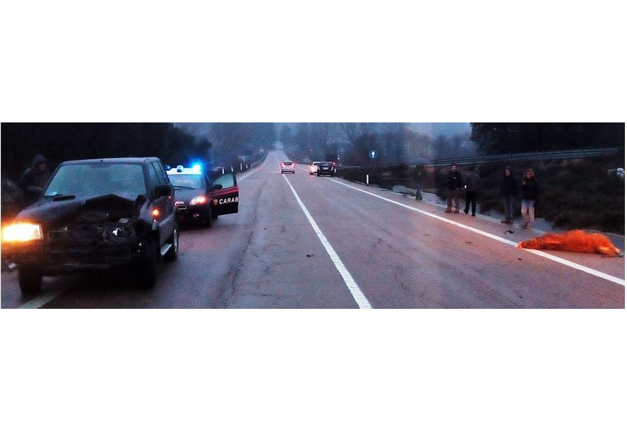 Tragedia sfiorata: bovino incustodito si schianta contro un tir: sanzionato il proprietario dell’animale