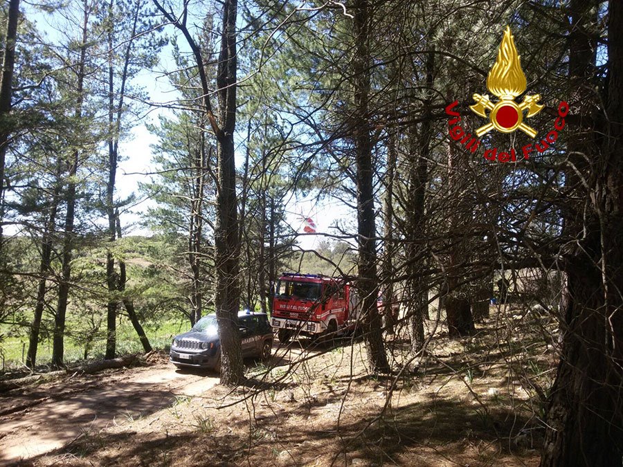 Tragedia sul lavoro: 42enne muore schiacciato dall’albero che stava tagliando