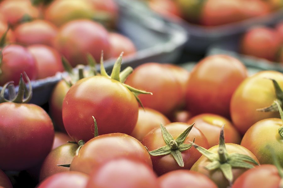 L’AGEA firma il decreto da 1,8milioni di euro per le aziende sarde