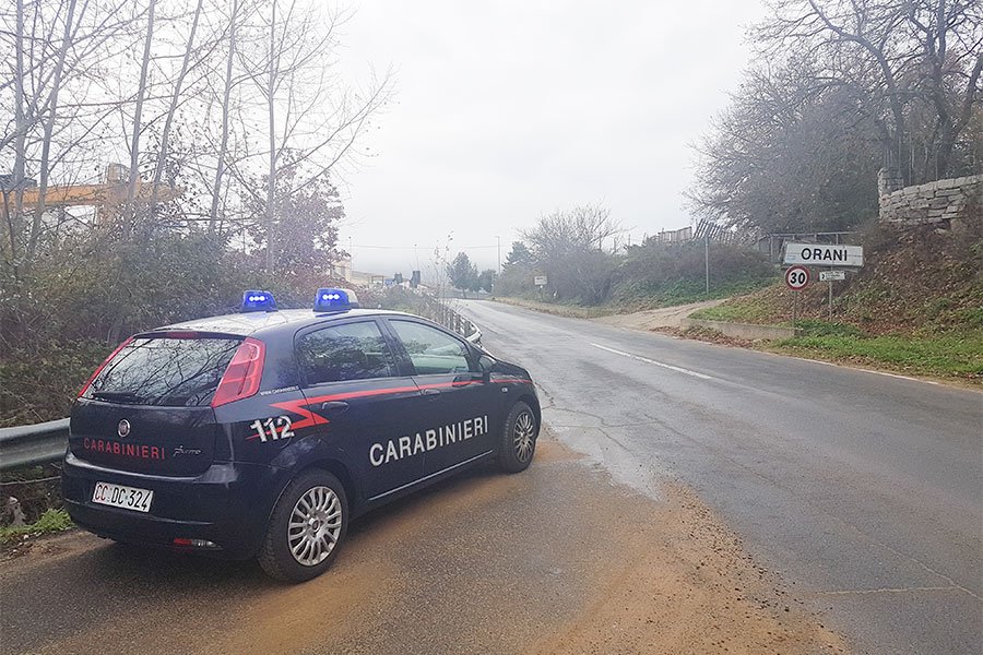 Macellazione clandestina: rinvenute due carcasse di bovino in un terreno