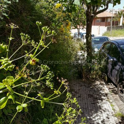 Nuoro, marciapiedi invasi dalle erbacce (foto Cronache Nuoresi)