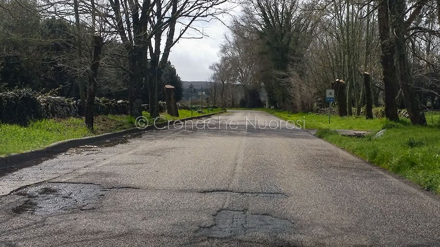 Strade più Sicure nel Nuorese: 17 milioni di euro per la viabilità programmati dalla Provincia