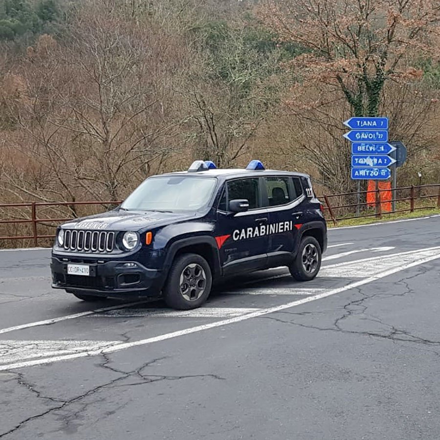 Strage di bestiame nel Nuorese: sgozzati 40 capi ovini