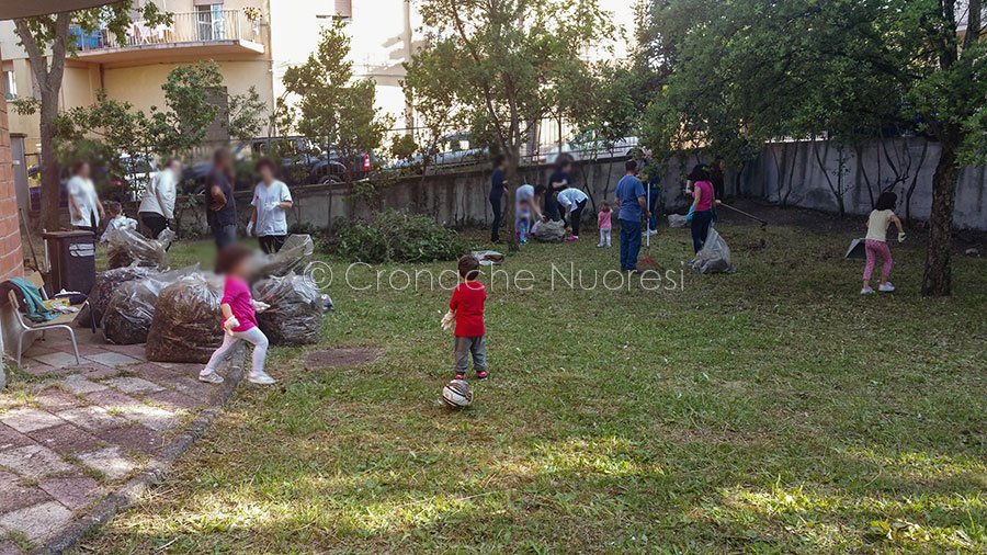 Nuoro. Dopo i cavalli tosaerba, il Comune affida ai privati la pulizia di aiuole e rotatorie