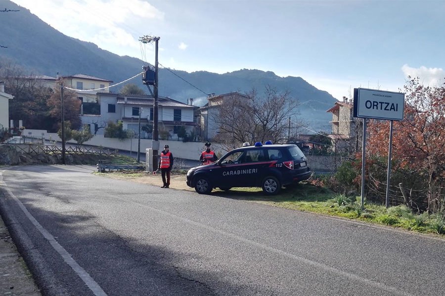 Olzai. Abigeatari inazione nella notte: rubati 10 bovini