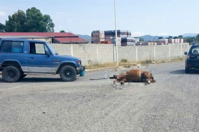 Il cavallo deceduto dopo l'impatto