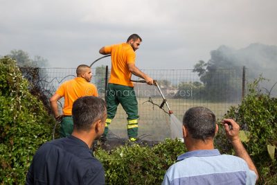 Operai Forestas impegnati in azione (foto Cronache Nuoresi)