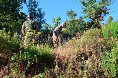La piantagione scoperta a Dorgali