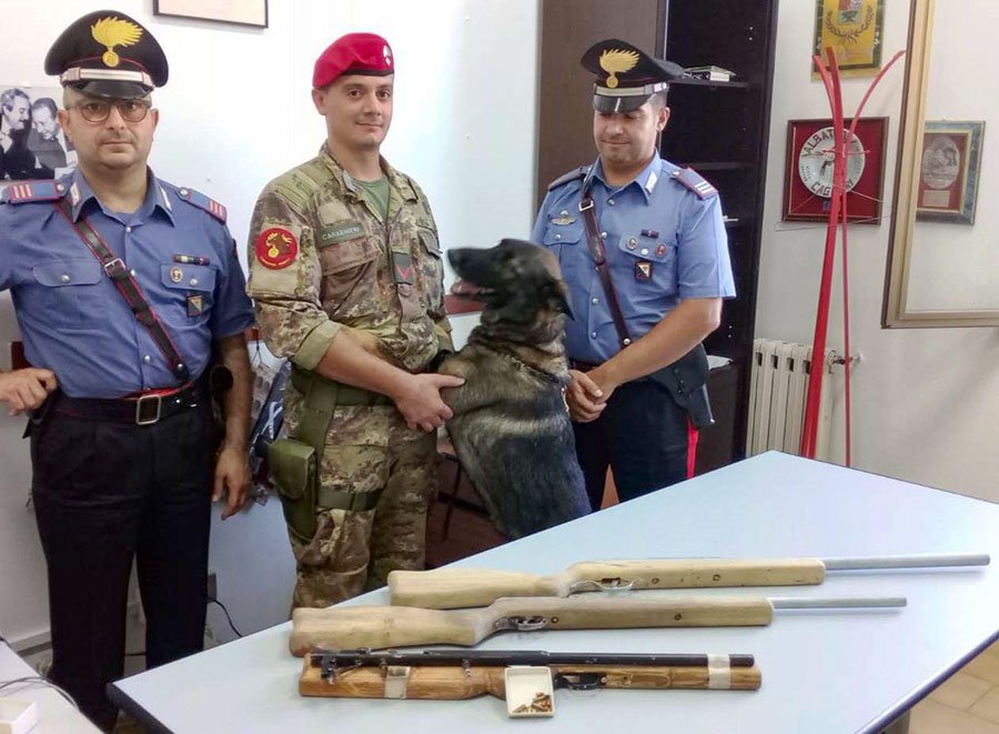 “Pando”, delle Unità cinofile, scova armi e munizioni clandestine sotterrate in un giardino