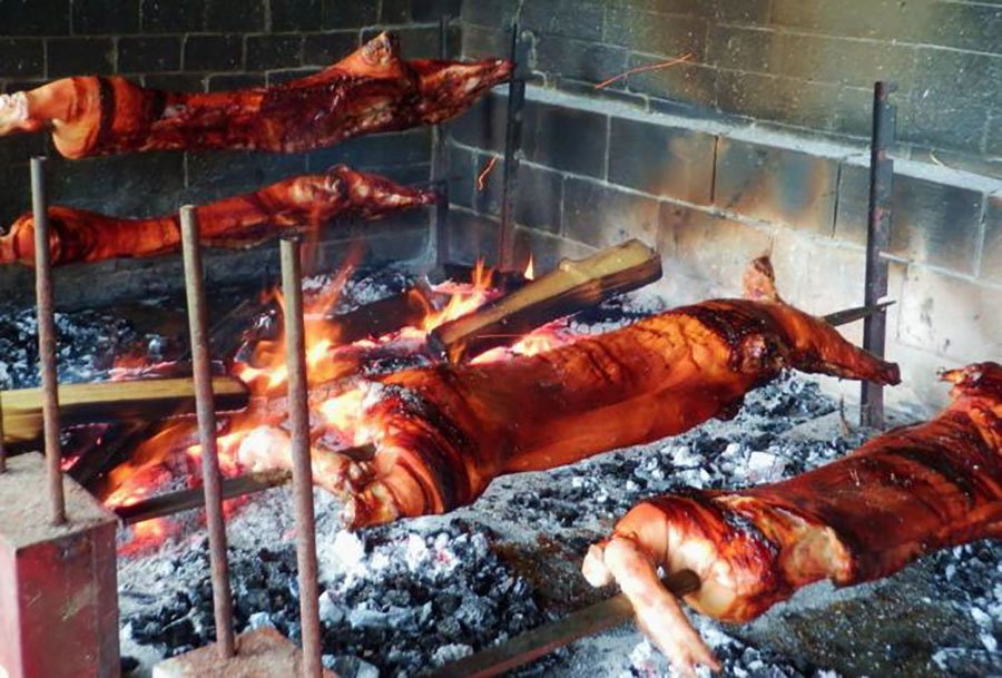 In Sardegna è vietato allevare maialetti: scoppia la polemica