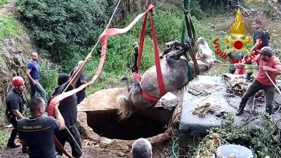 Il recupero del cavallo precipitato nel pozzo