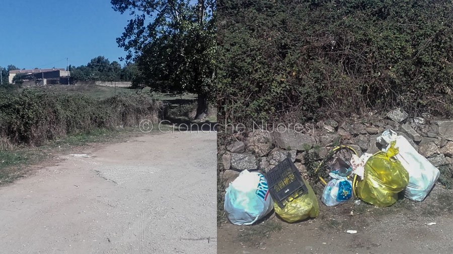 Nuoro. Caos discariche e fototrappole. I lettori precisano: “le foto riprese nei punti di conferimento stabiliti dal Comune”