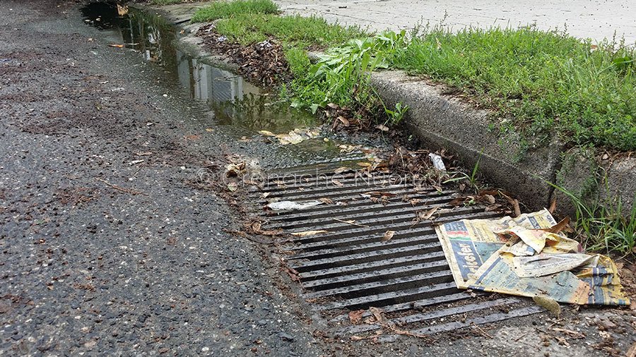 Febbre del Nilo? Nonostante l’ordinanza, in città non si contano pozze e vasche d’acqua stagnante