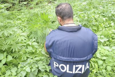La Polizia durante il sopralluogo nella piantagione