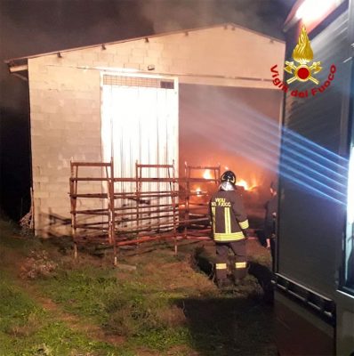 Vigili del Fuoco impegnati nel domare il rogo