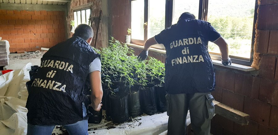Laboratorio della “marijuana” sequestrato dalle Fiamme Gialle