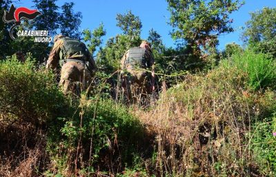 Carabinieri sulle tracce dei dispersi