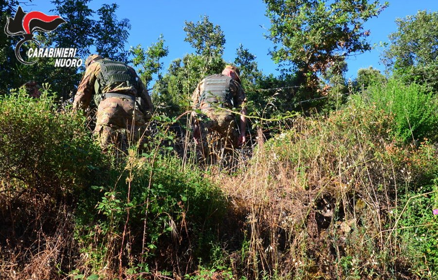 Lula. Ritrovati cinque escursionisti stranieri dispersi sul Mont’Albo