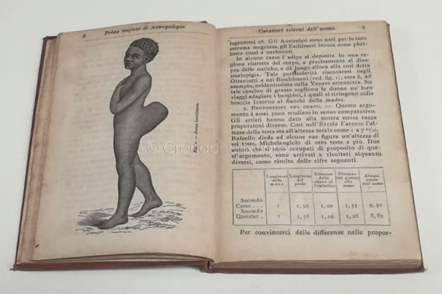 La Biblioteca Satta attiva il prestito take-away