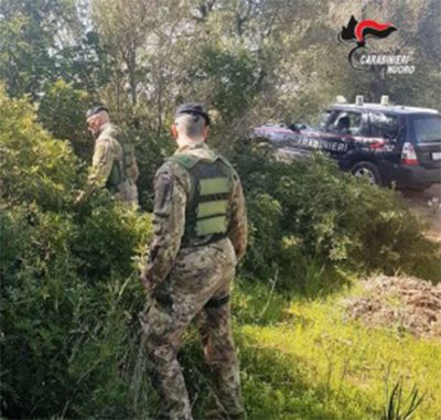 I Carabinieri sul luogo della rapina