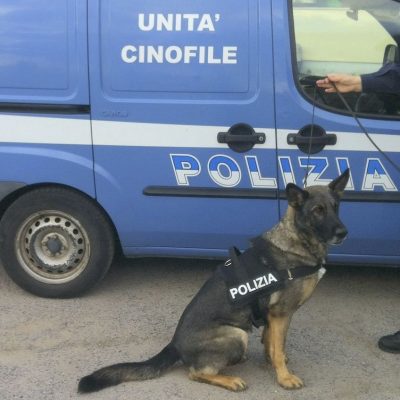Unità cinofile Polizia di Stato
