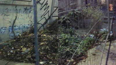 Immondizie in Via Carducci (foto Cronache Nuoresi)