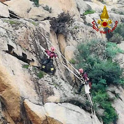 Le operazioni di salvataggio della capra da parte dei VVFF