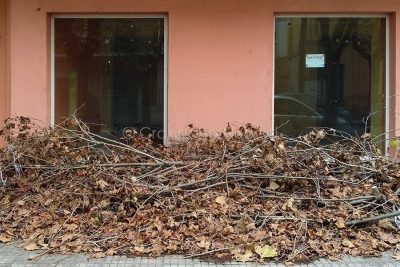 Via Piemonte. Marciapiedi intransitabili per i rami abbattuti dal vento (foto Cronache Nuoresi)