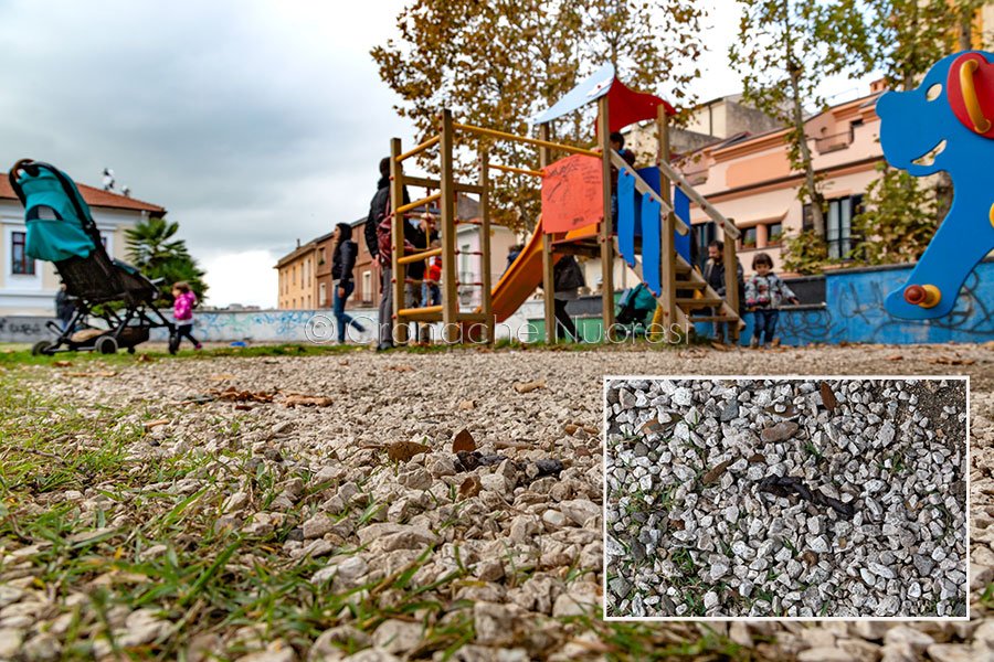 Nuoro. Escrementi dei cani per strada: Vigili urbani contro i padroni maleducati