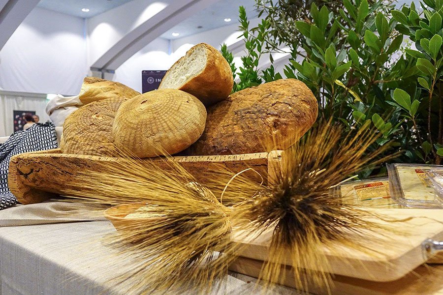 “Pane per Gaza”: il settore agroalimentare sardo offre la sua solidarietà