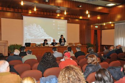 Un momento dell'anno forestale