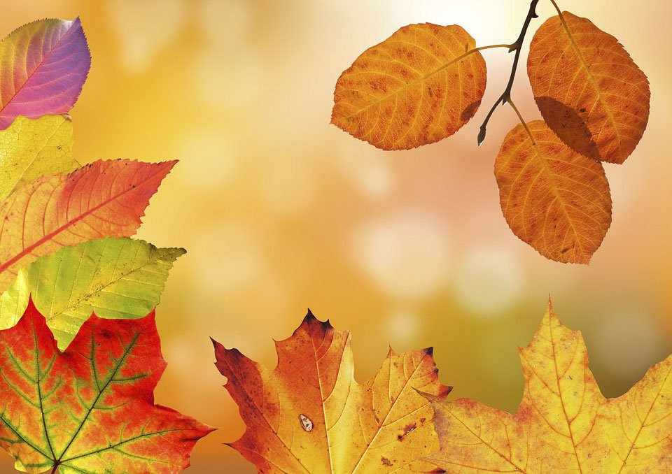 Su mulinu betzu in Ortzai e sas cantinas de Atzara, in mustra custu fine ‘e chida cun “Autunno in Barbagia”