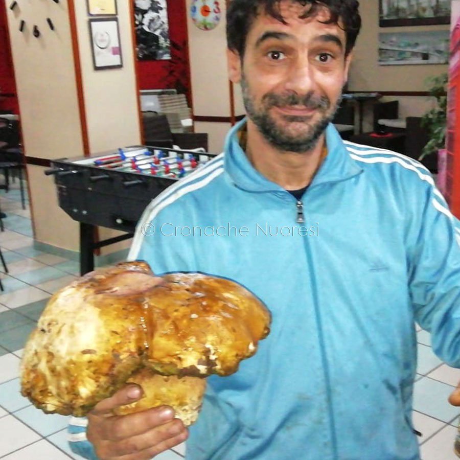 Enzo Cheri con il porcino da record