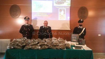 Nuoro, la conferenza stampa sul sequestro di droga a Orani