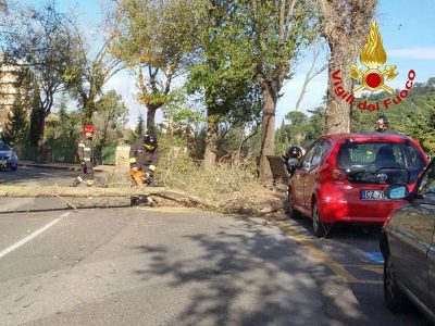 Vigili del fuoco in viale Ciusa