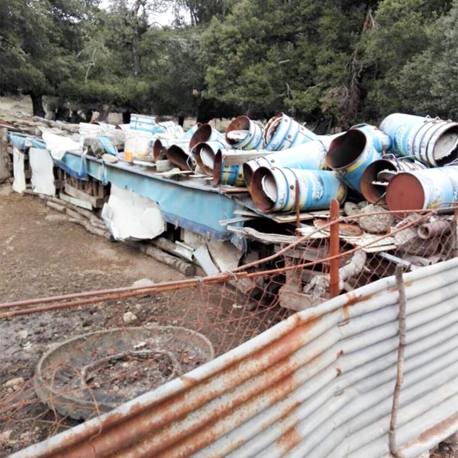 Allarme Trichinella. Maiali positivi a Orgosolo: “consumate carni certificate”