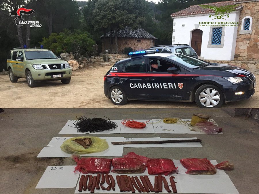 15 kg di esplosivo rinvenuti a Torpè: nel Nuorese è la quantità più ingente degli ultimi 10 anni