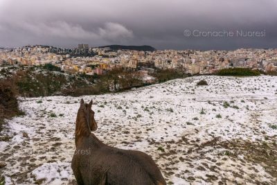 Nuoro, Nuoro nevicata dal Nuraghe (foto S.Novellu)
