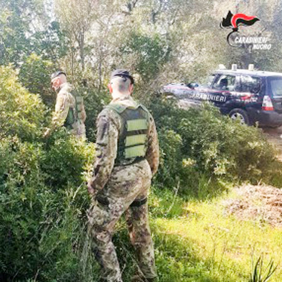 Macchina in panne in piena montagna: 35enne nuorese recuperato dai Carabinieri