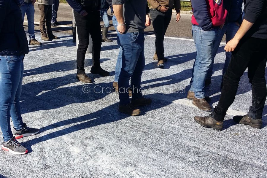 Guerra del latte. 72 centesimi il prezzo dell’intesa. Il referendum nelle campagne