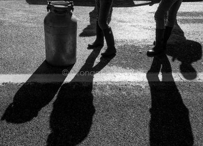 La guerra del latte in Sardegna (foto S.Novellu)