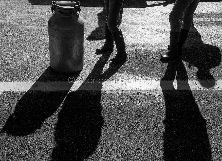 “Sa gherra e sos pastores”: una poesia di Gianni Manca