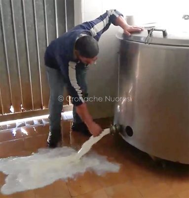 I pastori sardi buttano il latte per protesta contro il prezzo del latte