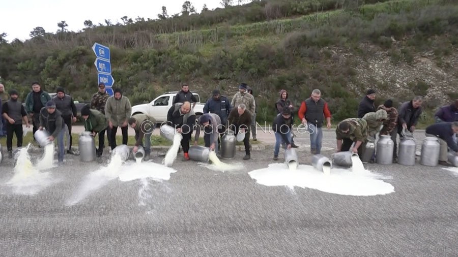 Guerra del latte. A Lula la protesta dei pastori contro gli industriali caseari – VIDEO –
